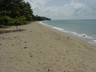 Corcega Sands - A Rincon Puerto Rico Vacation Rental