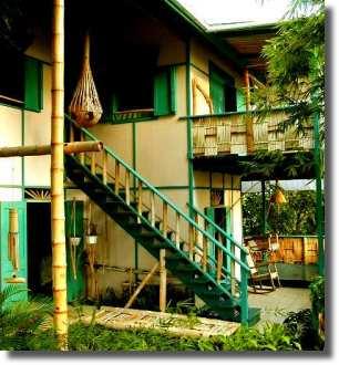 Tropical Tree House - Rincon Puerto Rico Vacation Rental