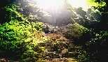 Camuy Caves at Lares