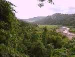 Mountains East of Mayaguez