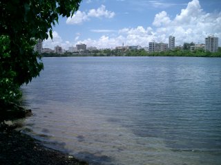 Condado Lagoon Shore (view toward Miramar)
